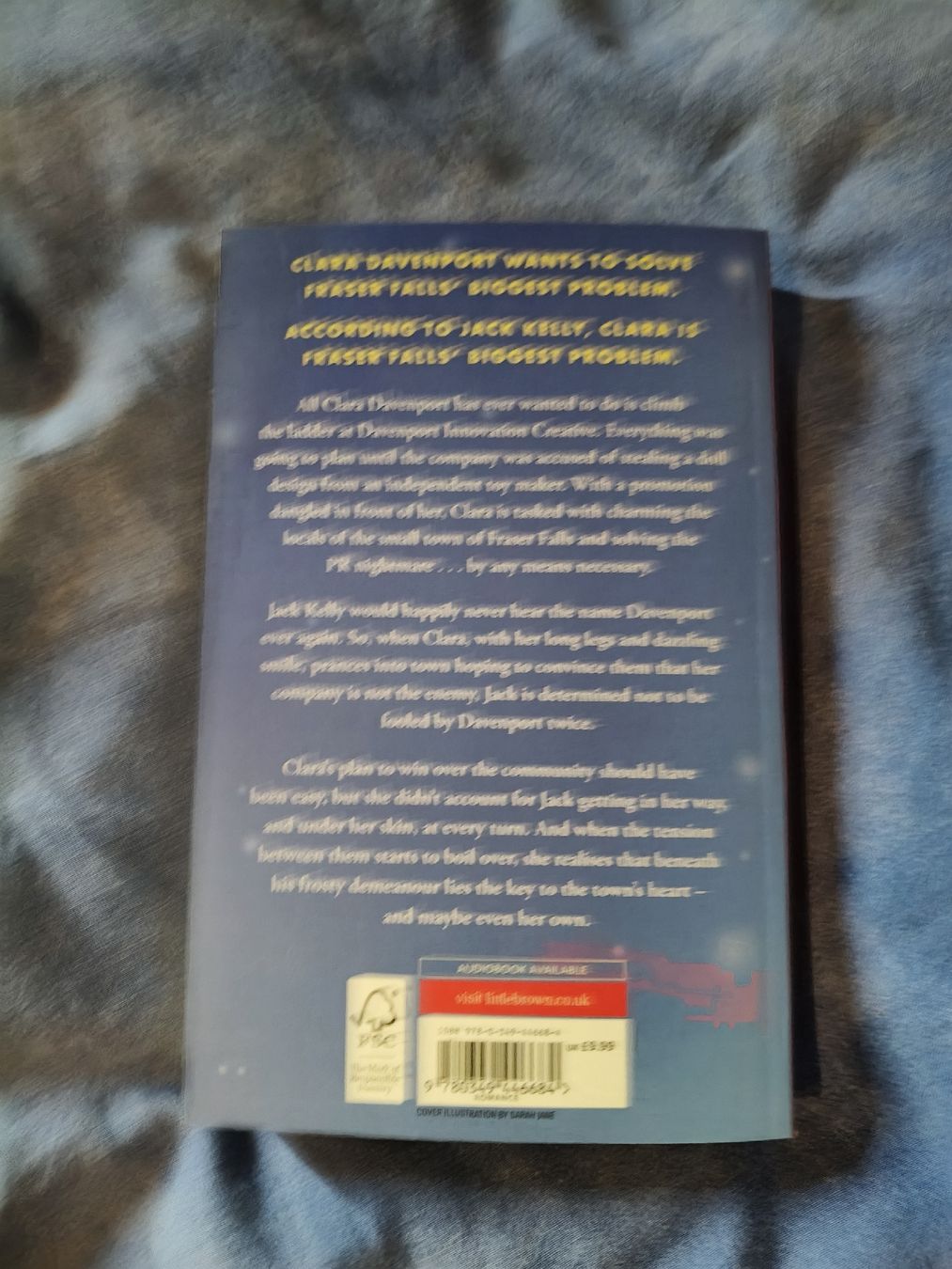 Libri: Buch Holiday ever after von Hannah Grace  – Usato da Wengi b. Büren venduto da bec_st5q 1