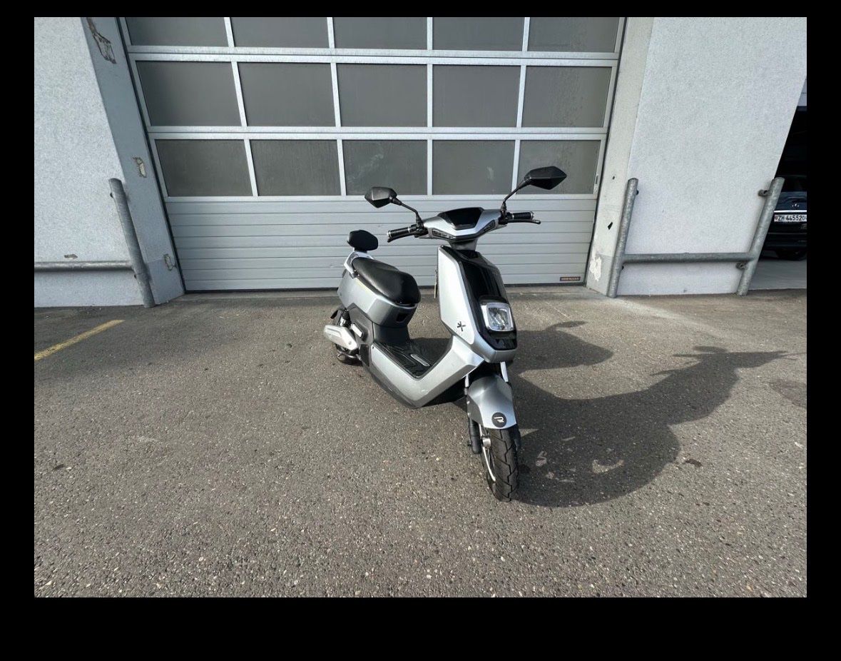 Voiturettes électriques: E Roller Nx1 – Défectueux à Dällikon par Global_Antik 7