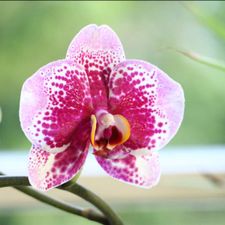 Profile image of Danna90