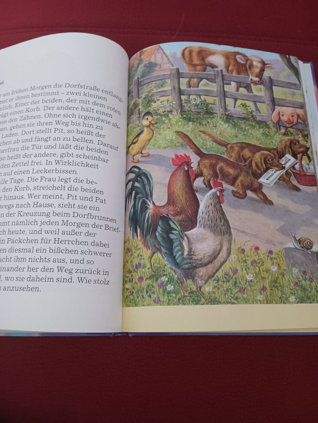 Libri: Mein lustiges Tierbuch / Kinderbuch – Usato da Schöfflisdorf venduto da kin_2dp9 2