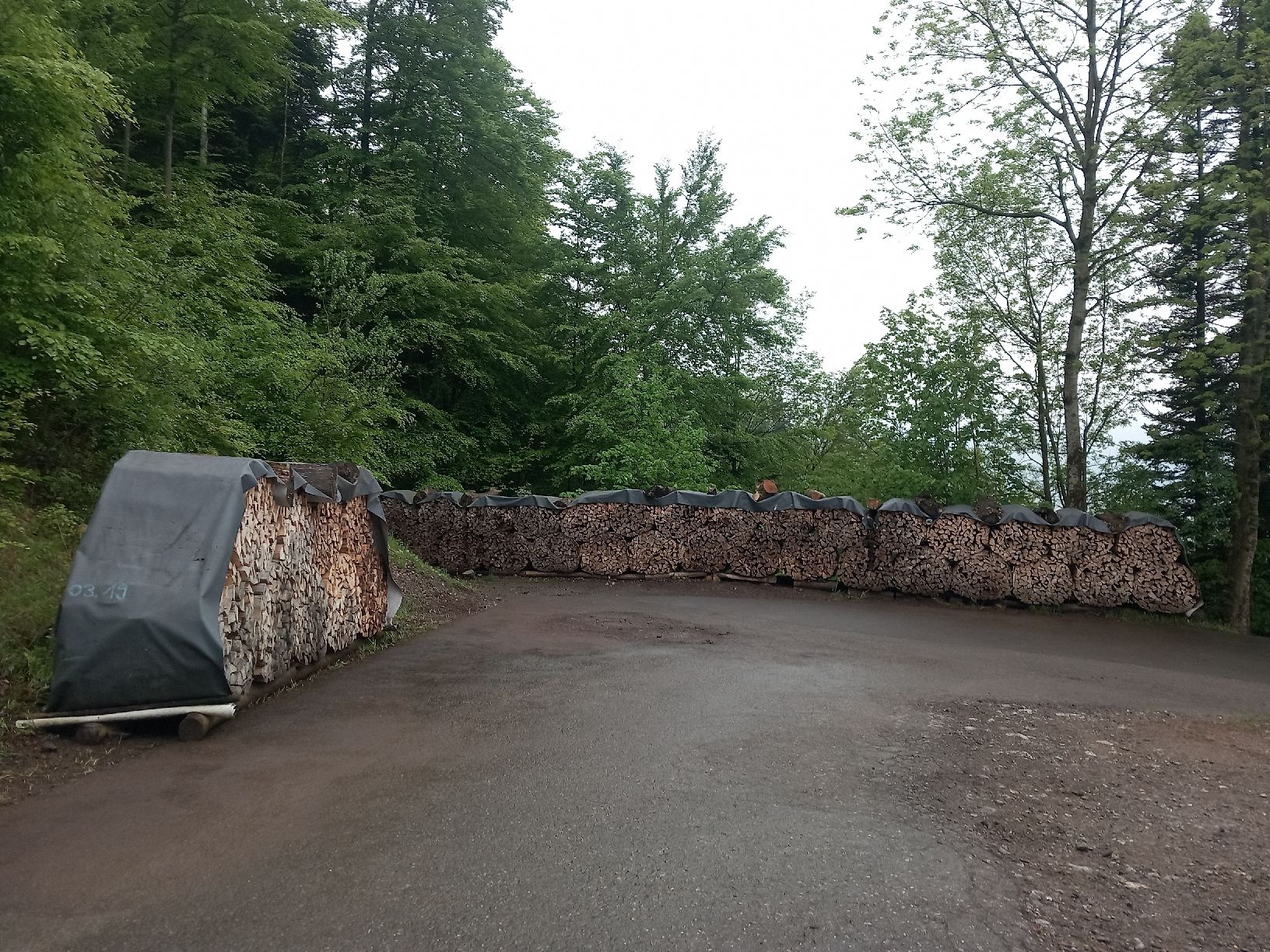 Holzartikel: Brennholz Buche ideal als Chemineeholz – Neu (gemäss Beschreibung) aus Sachseln von BrownSwiss6 4