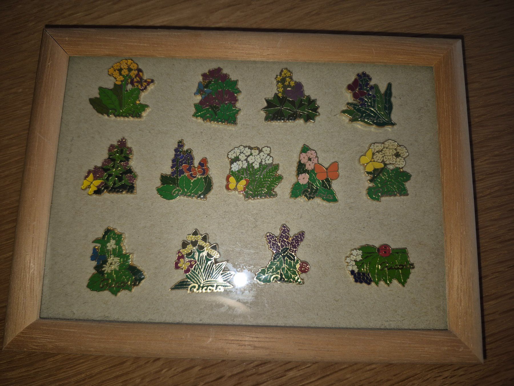 Ricola Placchette & Badge: Pin Set Ricola – Usato da Buttikon SZ venduto da sefa02
