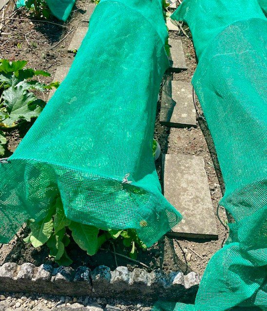 Autres Accessoires: Schattennetz Garten klein – D'occasion à Oberuzwil par Chaesch