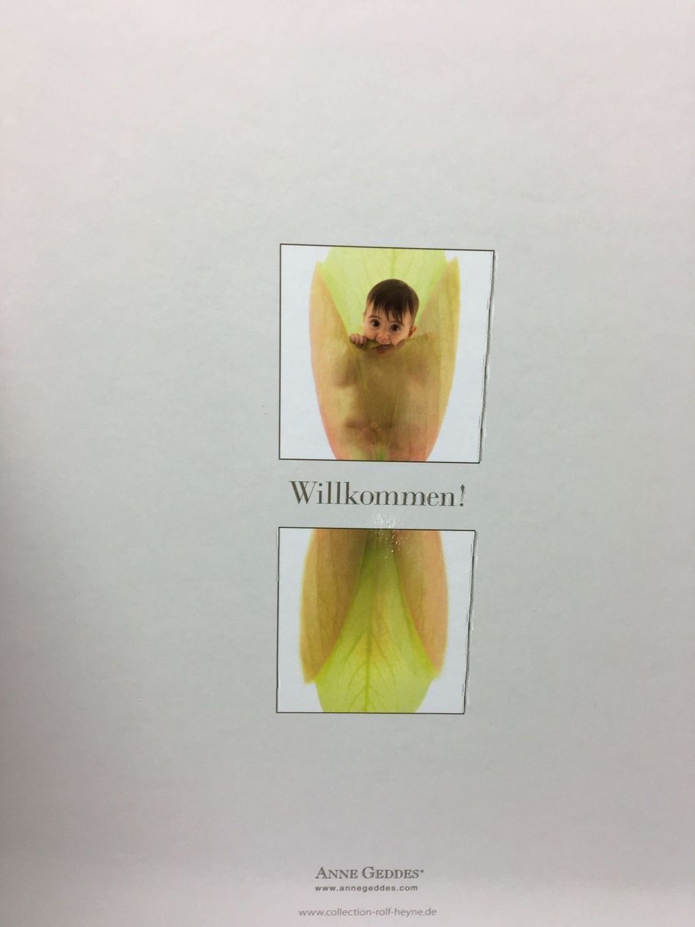 Libri: Anne Geddes Bildband – Usato da Siebnen venduto da Starlauf 1