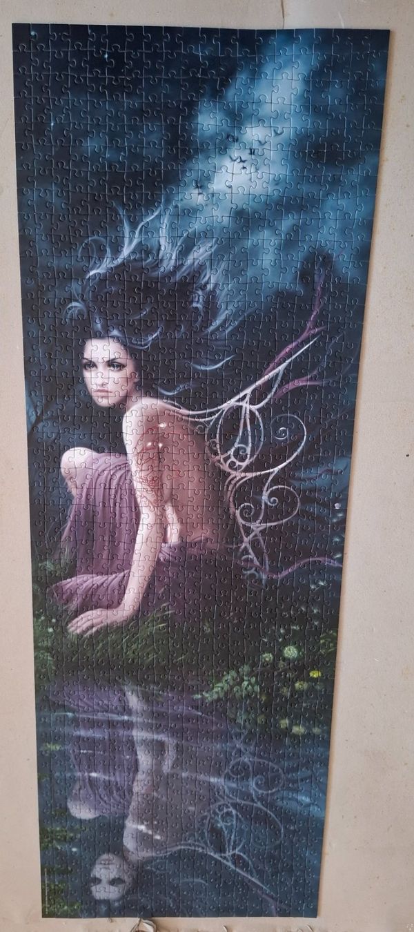 Heye Puzzle: Elixir Reflection  Mélanie Delon Puzzle – Usato da Hinterkappelen venduto da Schampus 1