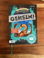 Die geheime Drachenschule GEHEIM