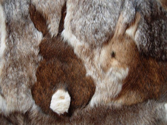 Alle Dekorationen: Kaninchenfell-Bild – Gebraucht aus Dübendorf von rumpumpel 2