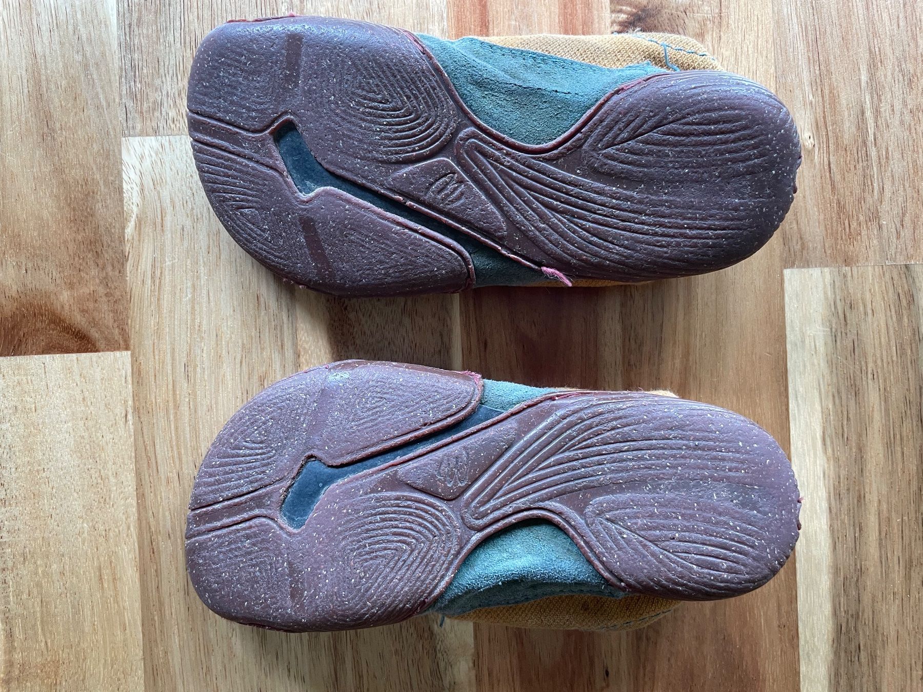 Wildling Schuhe für Jungen: Wildling Papagei – Gebraucht aus Gais von Giraffe200 1
