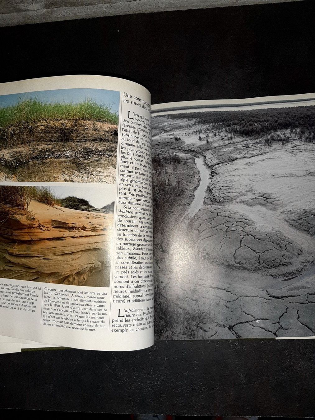 Libri: La mer du nord et le waddenzee – Usato da Le locle venduto da juliensaran 1
