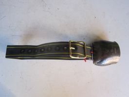 Treichel mit neuem Riemen