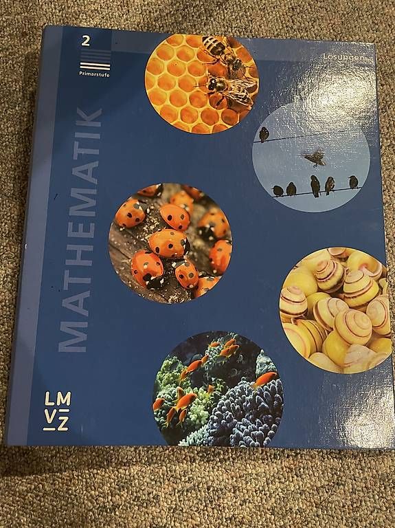 Ordner: Mathematik 2. Primarstufe Lösungen LMVZ – Gebraucht aus Dietlikon von VintageStudioZurich