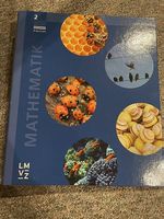 Mathematik 2. Primarstufe Lösungen LMVZ