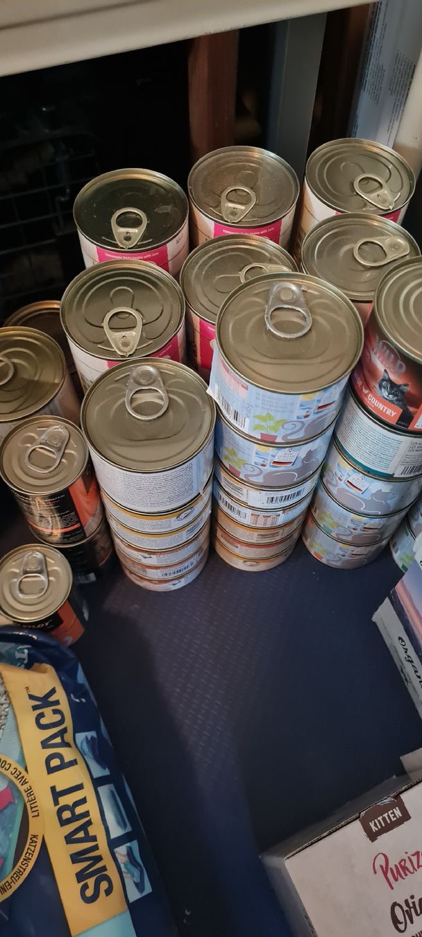 Futter: Katzenfutter div. und Catsan – Neu und originalverpackt aus Aarberg von 2nd_life_things 4
