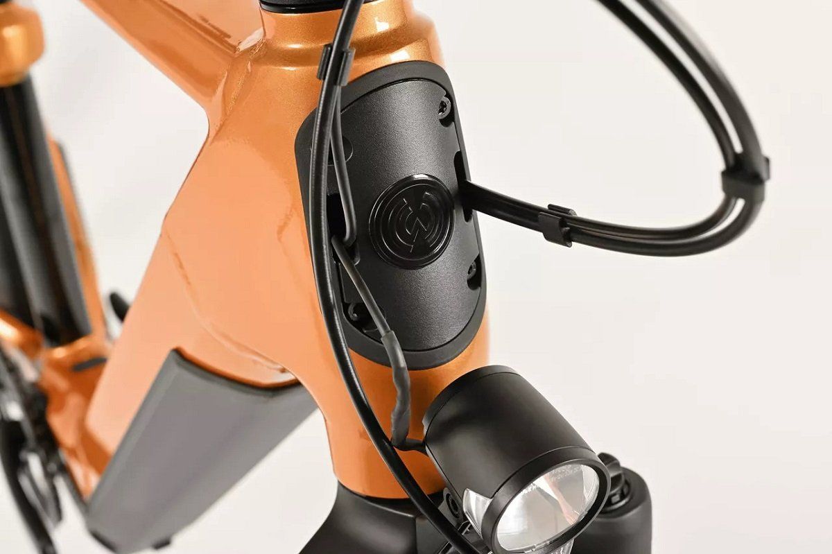 Winora Biciclette: Winora Yakun X10 High ginger glossy – Nuovo e nell'imballaggio originale da Lausanne venduto da AB-Ebikes 6