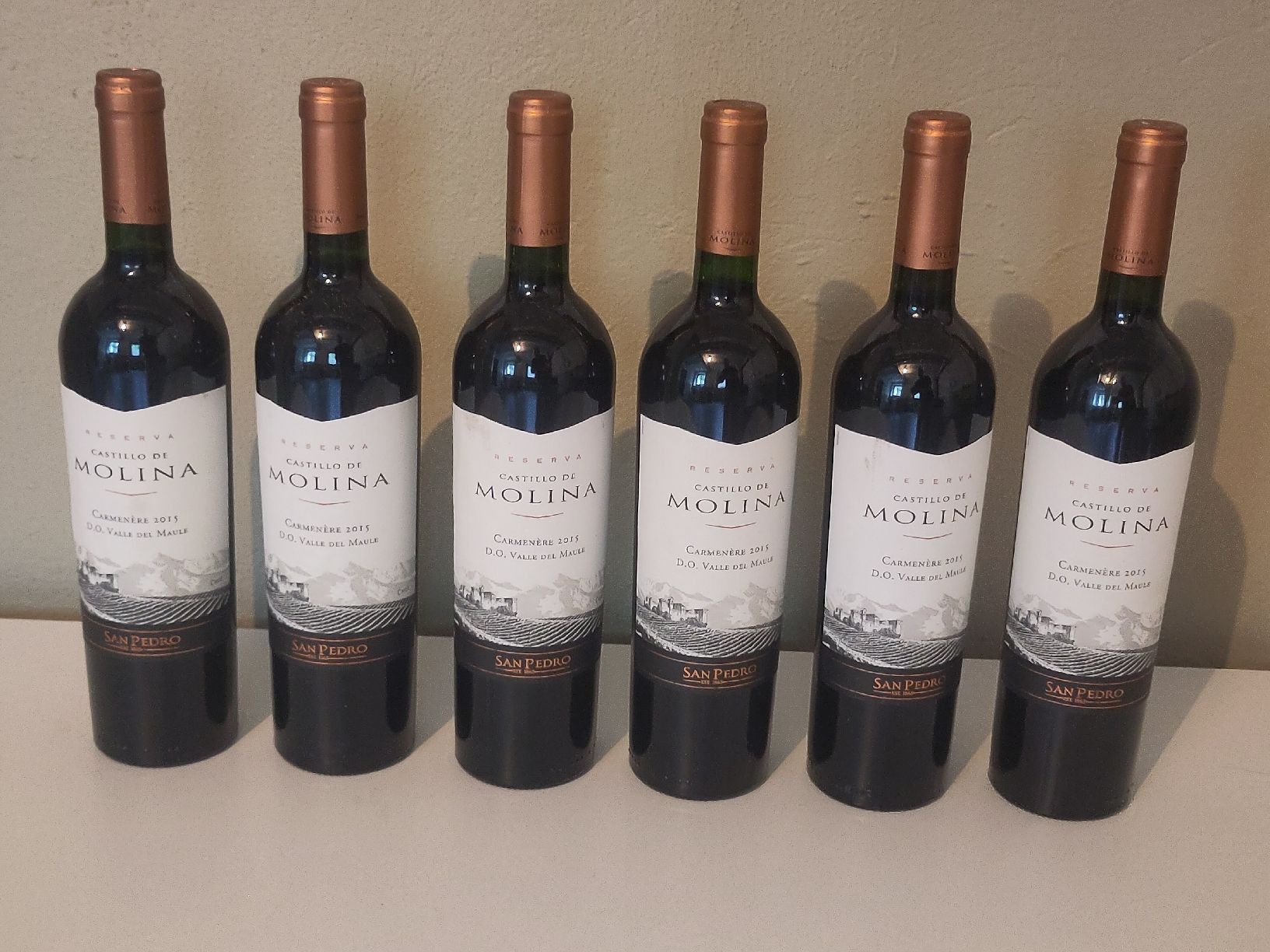 Vino: 6 FL. Castillo de Molina "Carmenère" 2015 – Nuovo (secondo la descrizione) da Basel venduto da Morgenmuffel