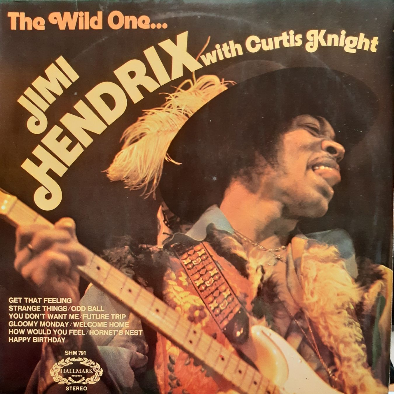 Dischi in vinile: Jimi Hendrix - The Wild One – Usato da Frick venduto da kyb_yq8h