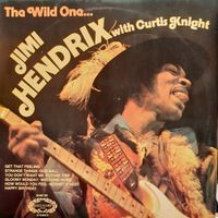 Jimi Hendrix - The Wild One