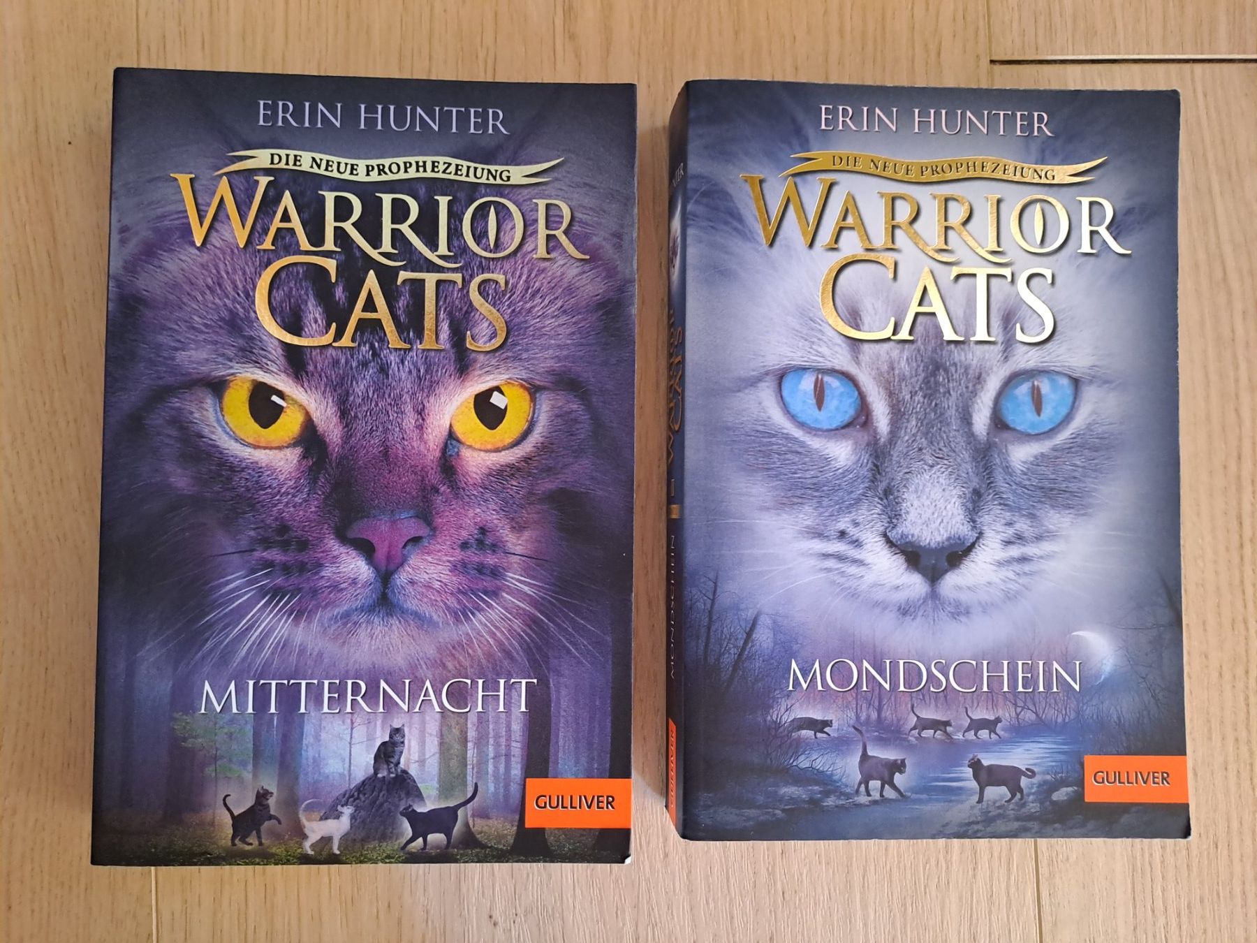 Libri: Warrior Cats Staffel 2 Band 1-2 – Usato da Untereggen venduto da ros_kz89