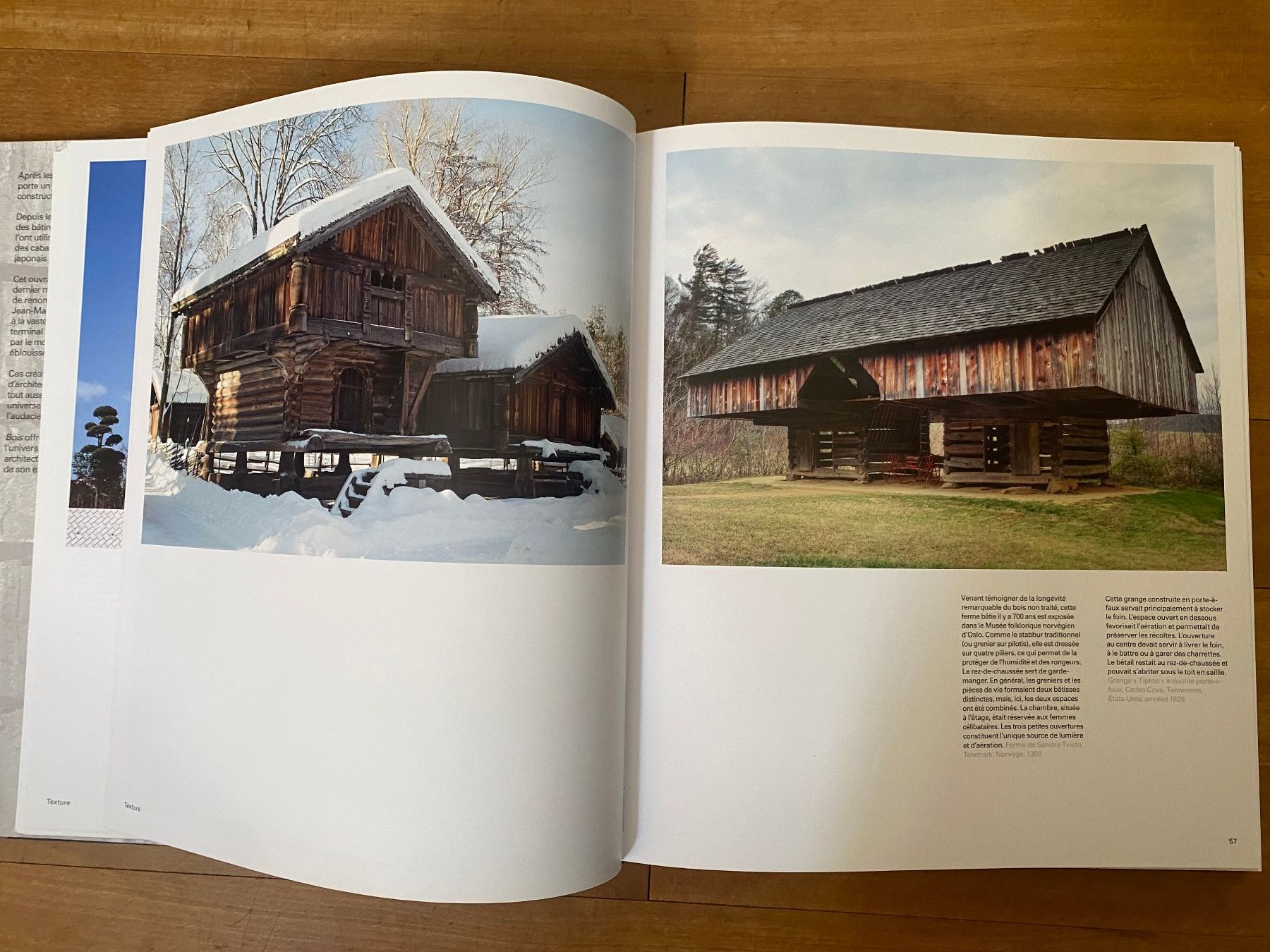 Libri: Buch "BOIS" Phaidon William Hall – Usato da Zürich venduto da fritzfranzantoni 4