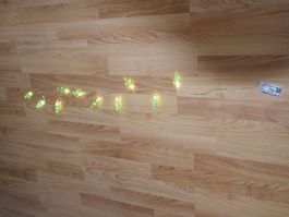 Lichterkette mit 10 Led Kaktus