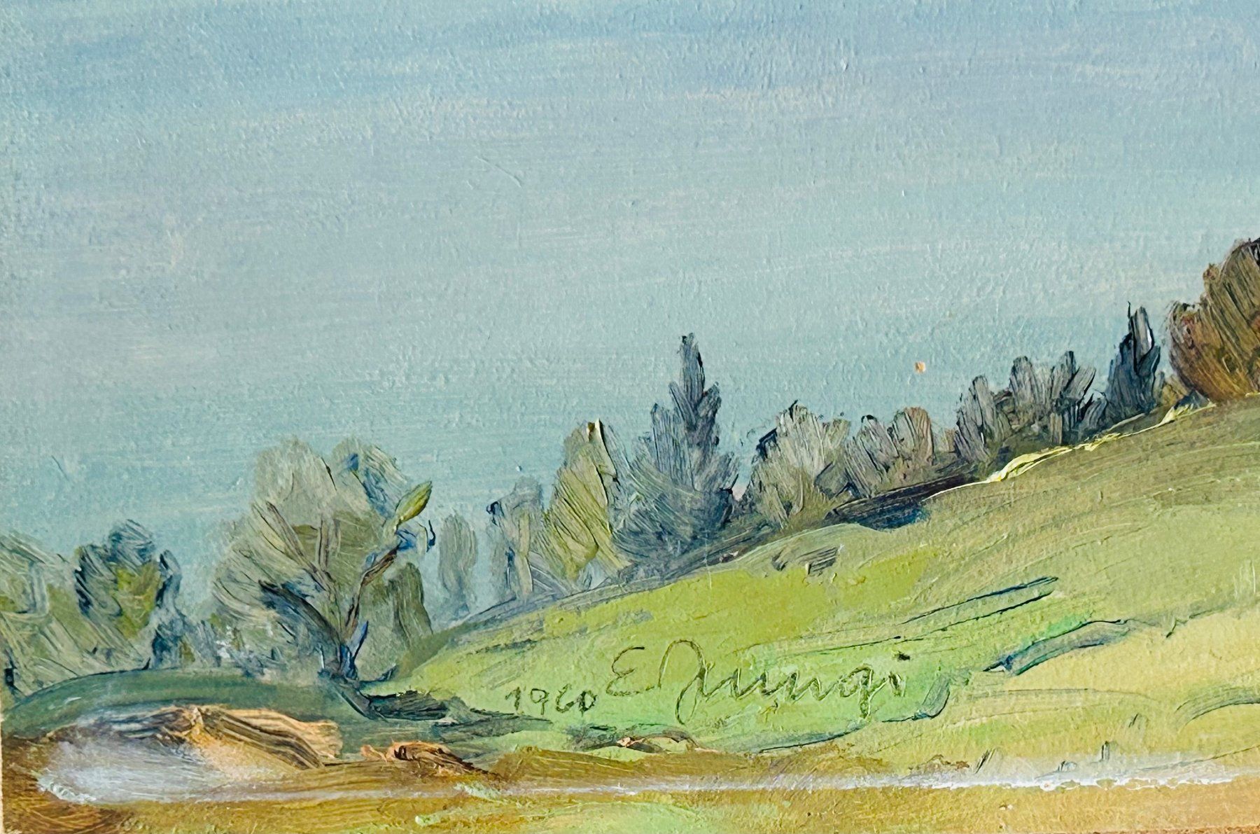 Dipinti: Erwin Jungi Berglandschaft (2018) – Usato da Turgi venduto da dewi2003 1