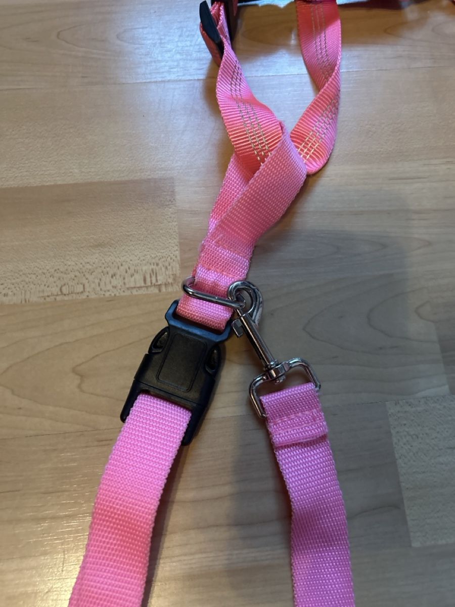 Guinzagli & Collari: Doppel Hunde Jogging Leine, Rosa – Usato da Mühledorf SO venduto da Dania77 1