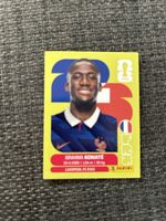 Panini FRA 6