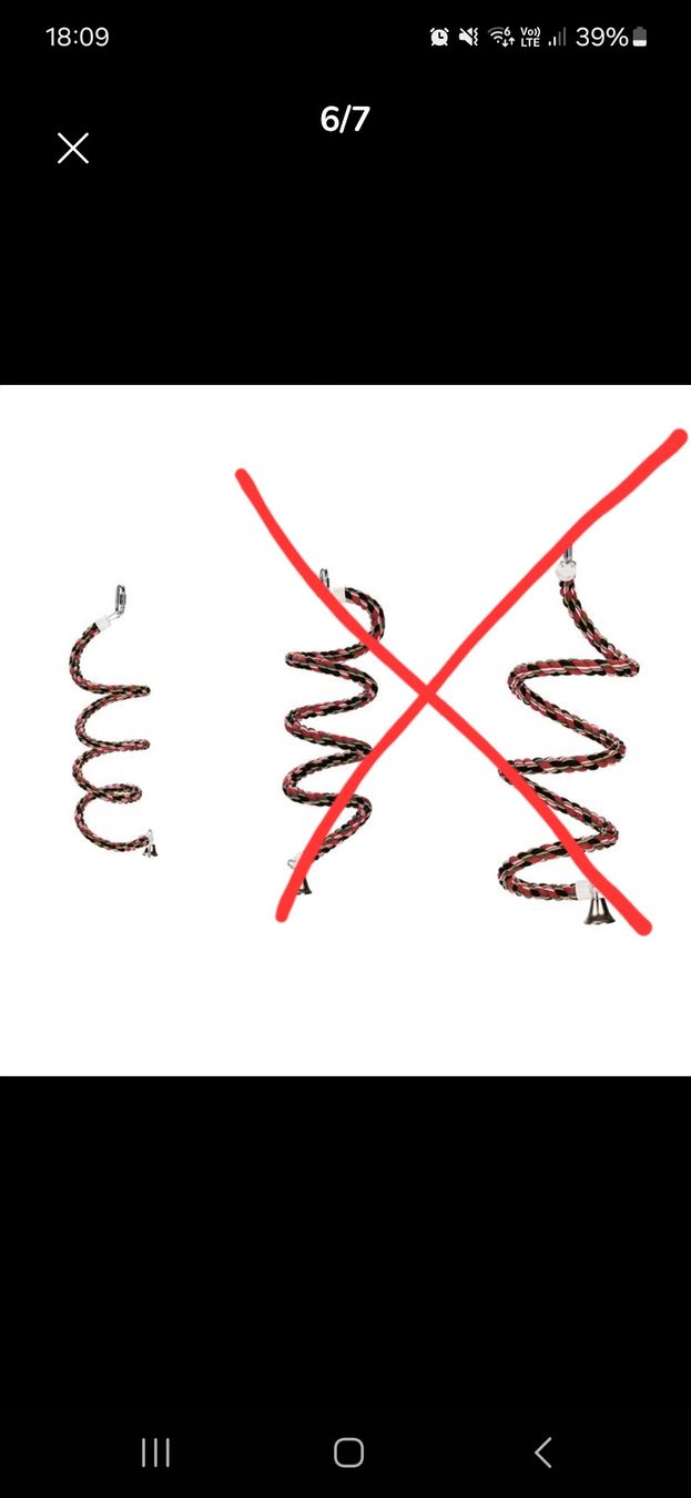 Bücher: 6x Seilspirale Sittiche NEU – Neu (gemäss Beschreibung) aus Dulliken von hya_7bpd 2