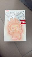 POP MART Vinyl Plush Pendant Blind Box New