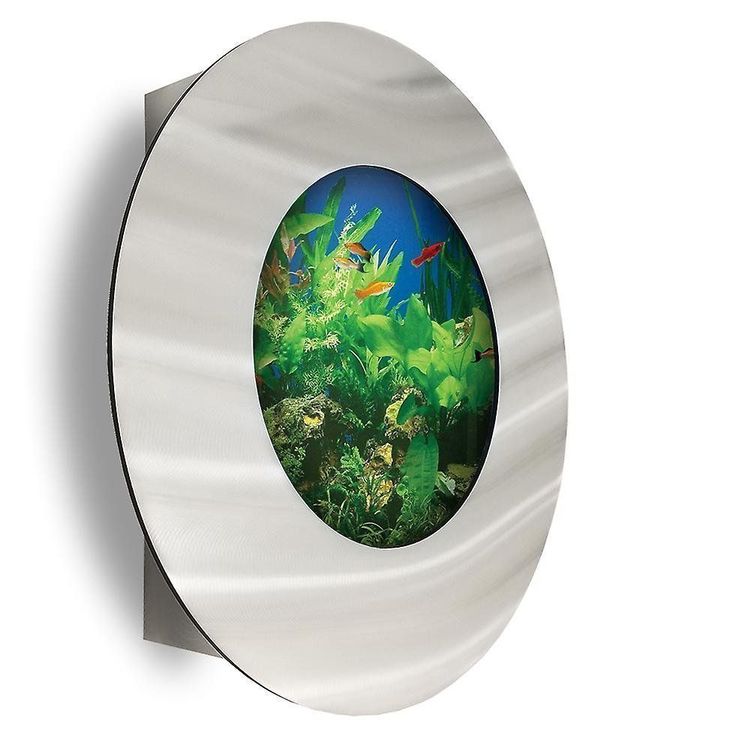 Tolles Wandaquarium / Rund (Neu (gemäss Beschreibung)) in Brunnen für ...