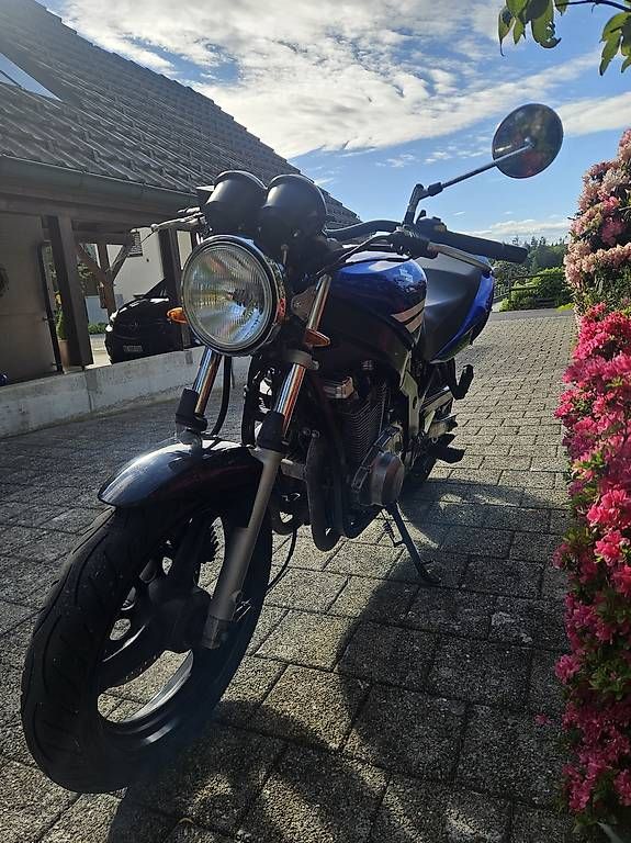 Strada: Suzuki GS 500 Motorrad Töff – Usato da Wabern venduto da mlue00 4