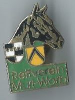 Reiterverein Muri-Worb, Pferdekopf, Pin