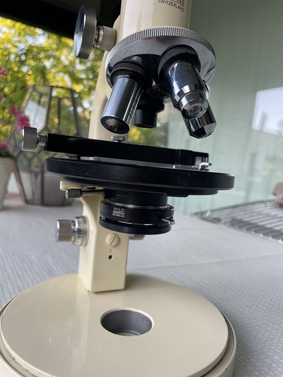 Wild Microscopi: Mikroskop Wild M11 – Usato da Uetikon am See venduto da Tightfun 4
