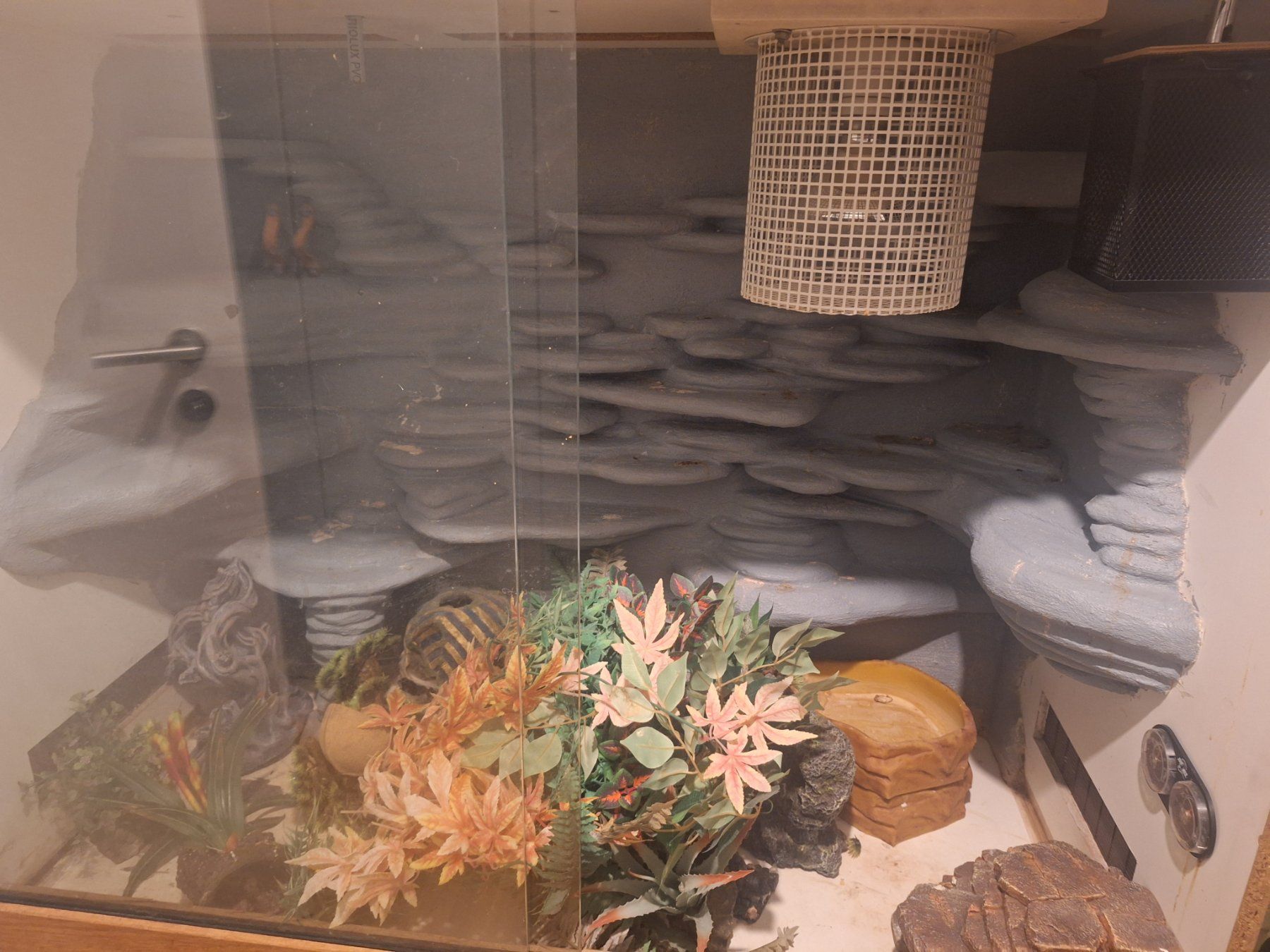 Terrario: Schlangen-und Quarantäneterrarium – Usato da Baldingen venduto da jes_8wzy 1