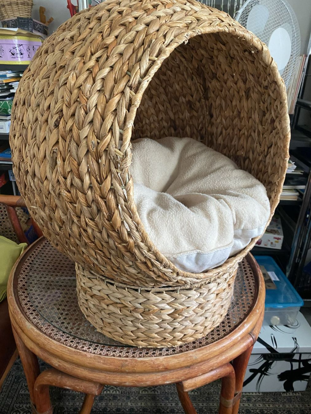 Cucce & Letti: Katzenbett – Usato da Sachseln venduto da basti1950 1