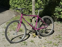 Mountainbike Bianchi violett mit Shimano STX gebraucht