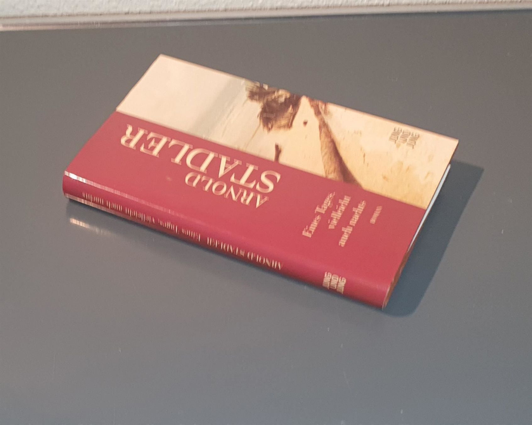 Libri: Eines Tages, vielleicht auch nachts – Usato da Dübendorf venduto da Povo 2