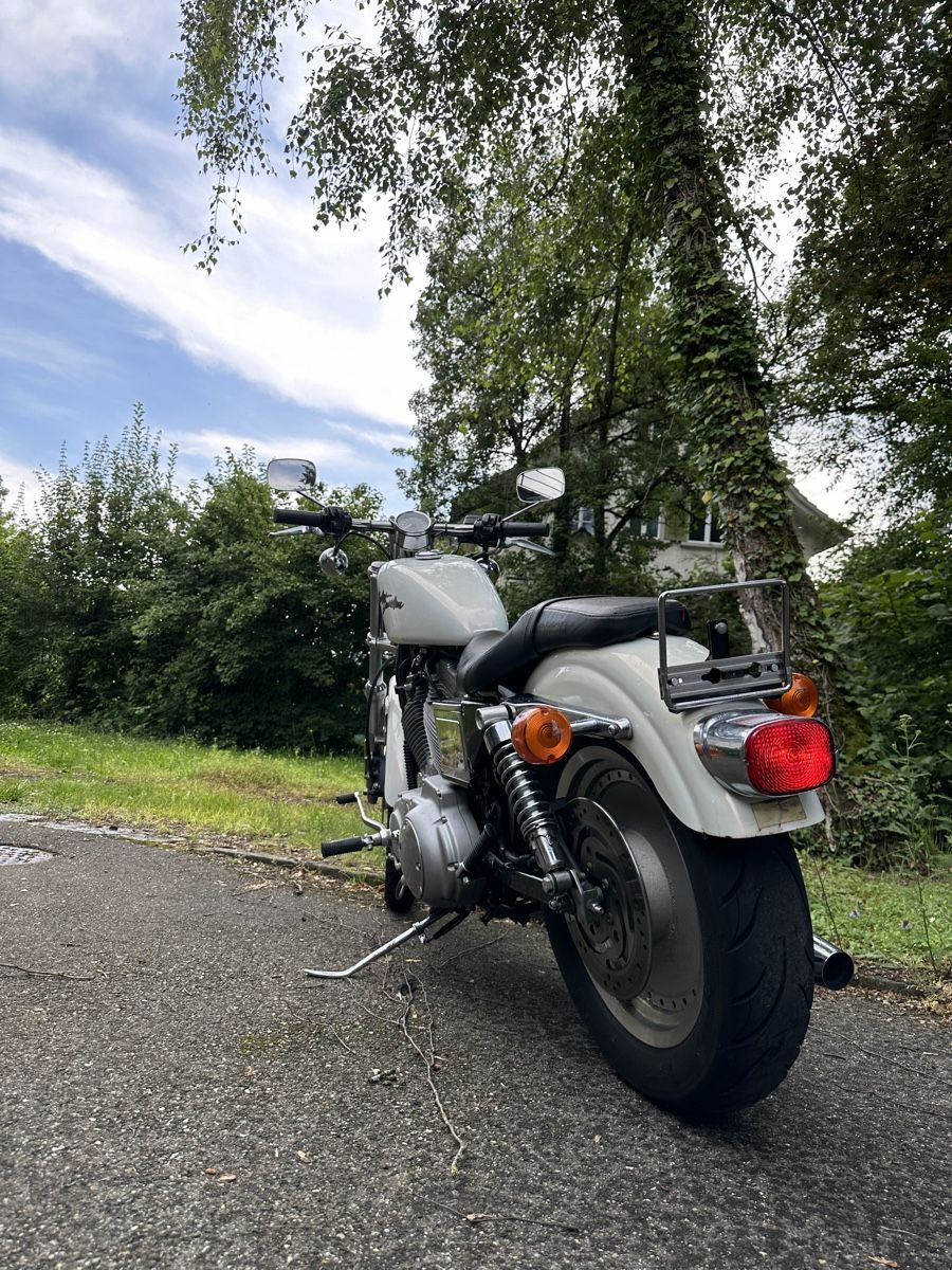 Harley-Davidson Altro: Motorrad Harley 883 – Usato da Aarau venduto da rhe_vdj5 5