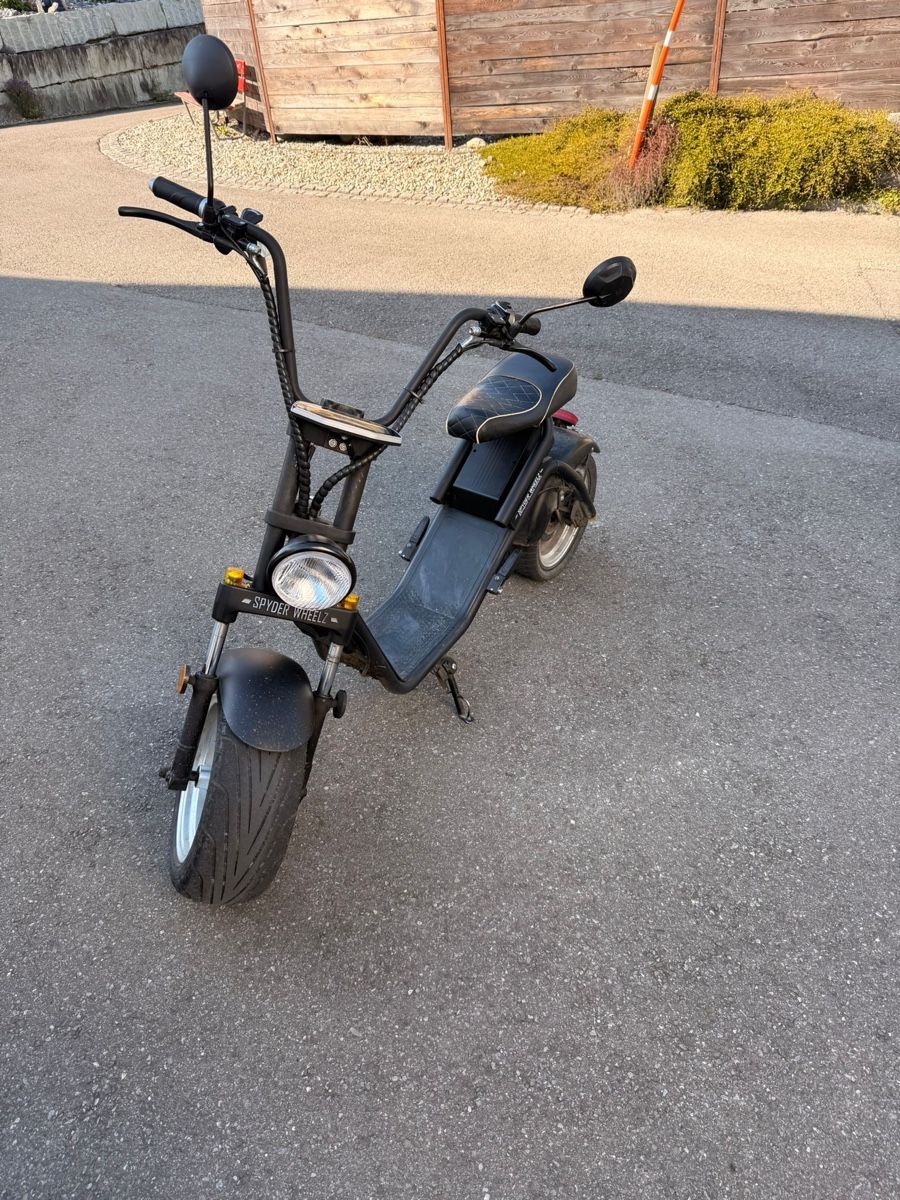 Voiturettes électriques: Elektro-Bike – D'occasion à Altstätten SG par guterman 2