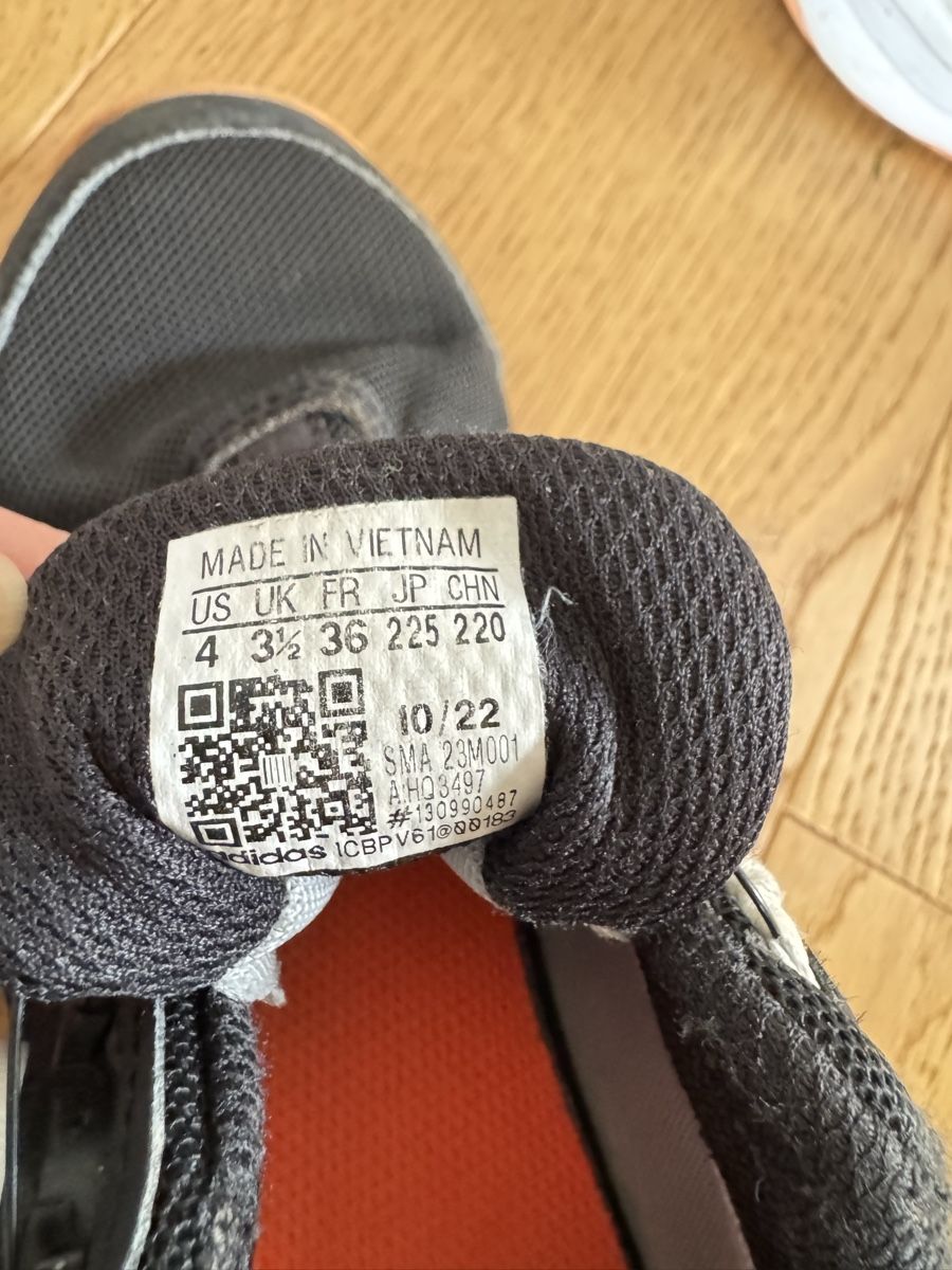 Adidas Scarpe da uomo: Trekkingschuh Adidas Terrex Gr. 36 – Usato da Koppigen venduto da BaBoKo 2
