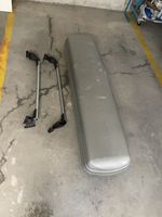 Skiträger mit Dachbox