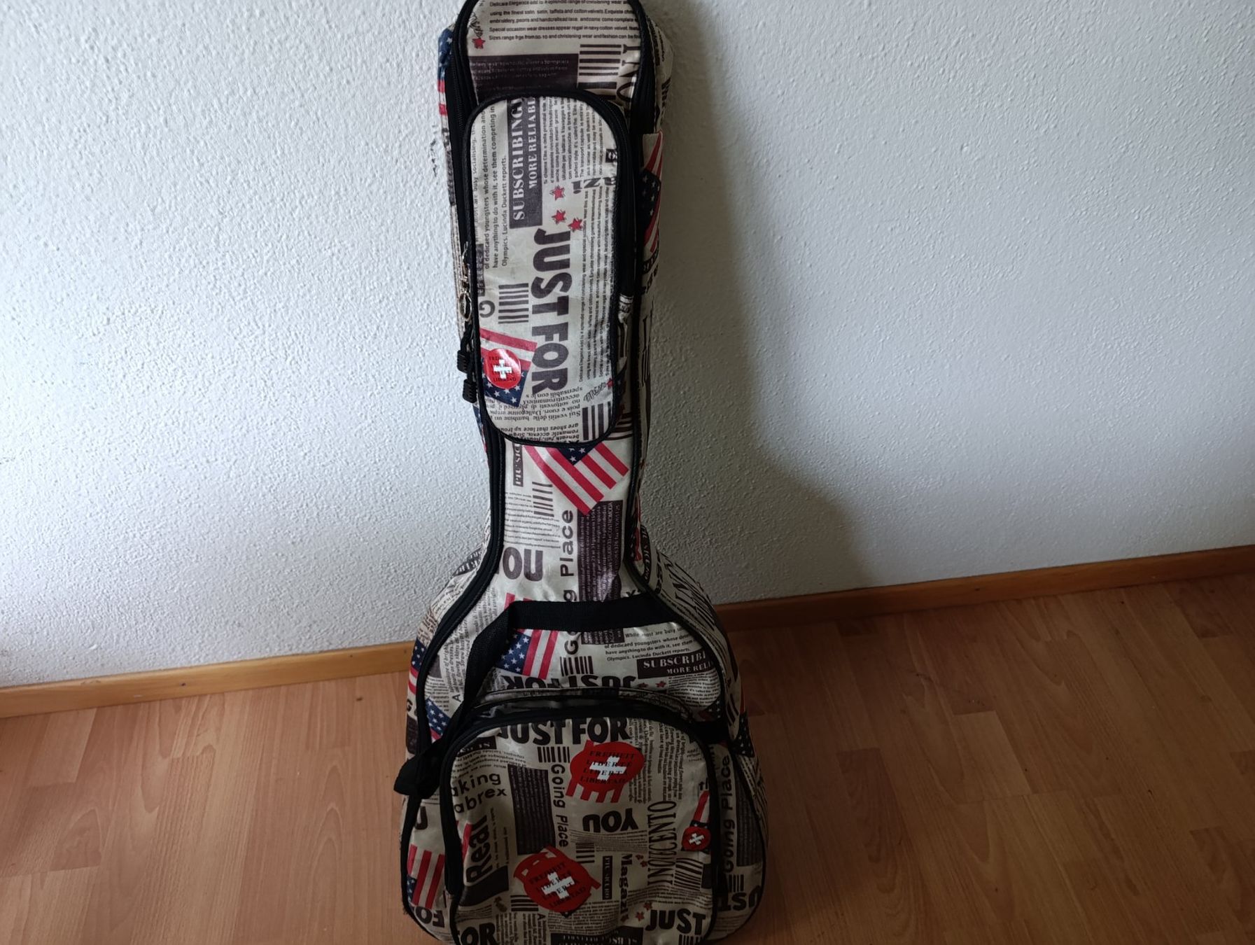Borse: Gitarrentasche / Gitarrenfutteral mit USA Design – Usato da Baden venduto da Gusreisen 4