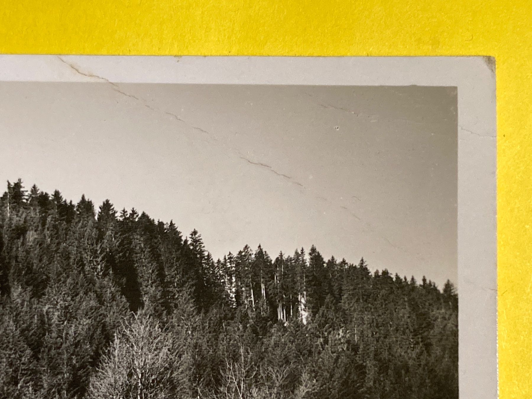 Cartoline postali: Flumserberg. Kurhaus Tschudiwiese – Difettoso da Zürich venduto da Chaeffeler 1