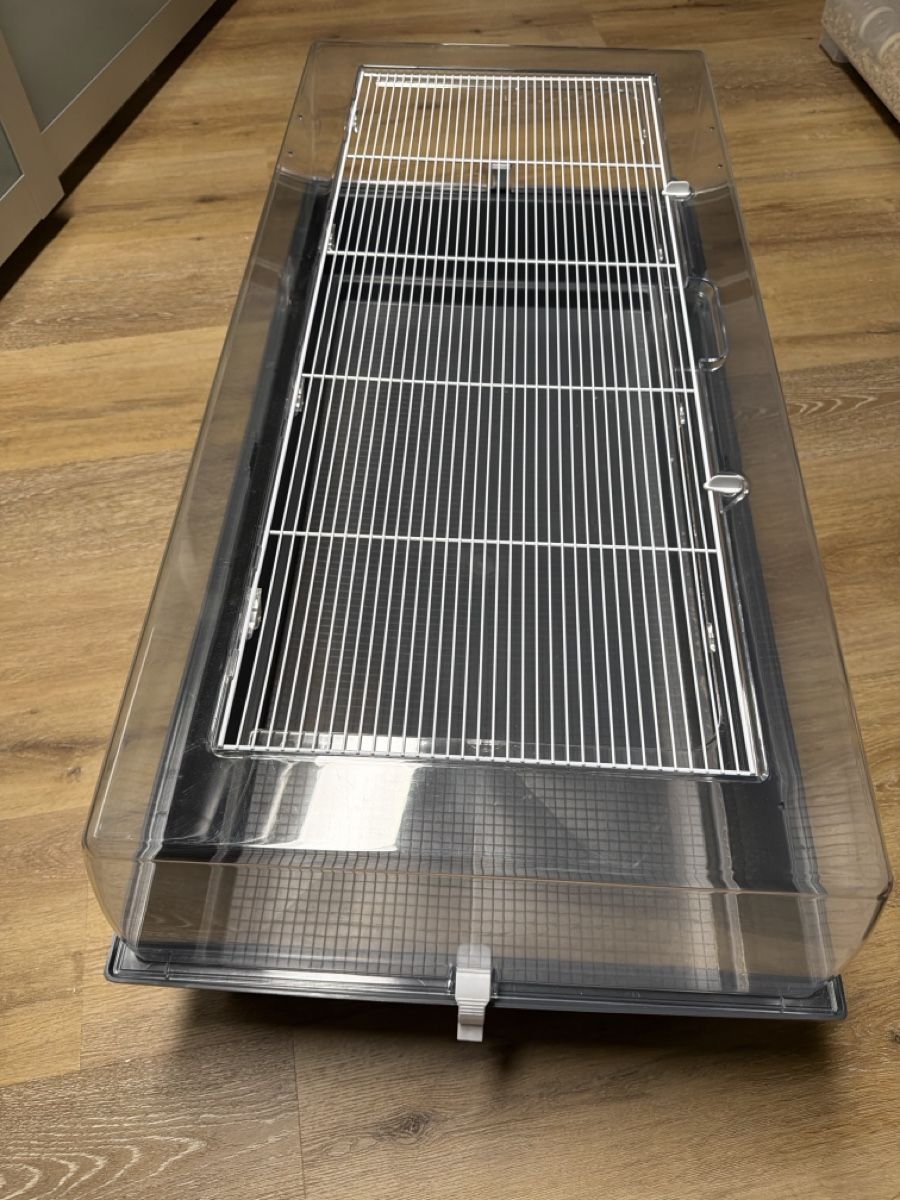 Gabbie, trasporto & Sicurezza: Kleintiergehege mit Gitterabdeckung gebraucht – Usato da Wagen venduto da Gianapc 4