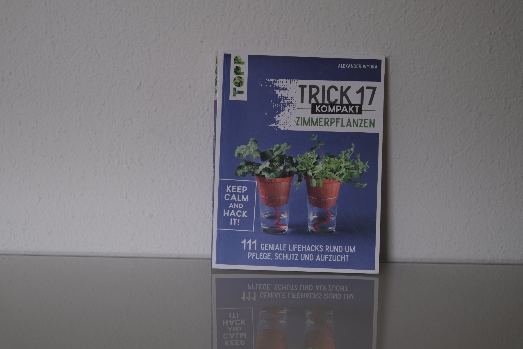 Bücher: Trick 17 Kompakt Zimmerpflanzen Buch – Gebraucht aus Olten von RABe2000 1