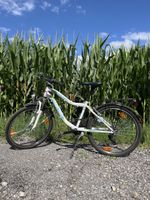 Trelago Mustang, Top Zustand, ideales Velo für den Herbst!