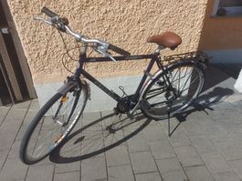 Trekking-/City-Fahrrad  Peugeot Country