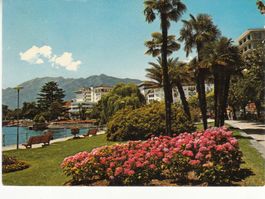Locarno 1973