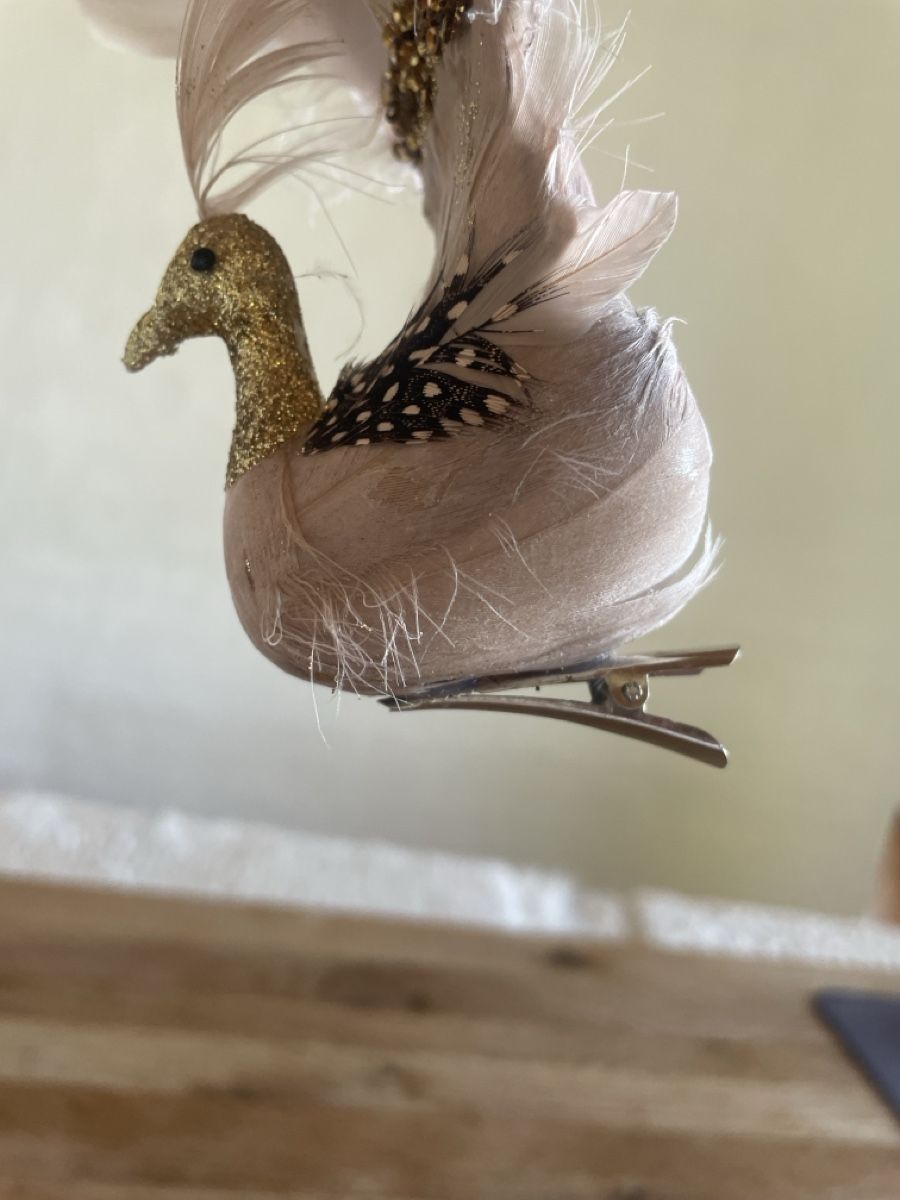 Tutte le decorazioni: Paradiesvogel – Usato da Freidorf TG venduto da ibipatria 1