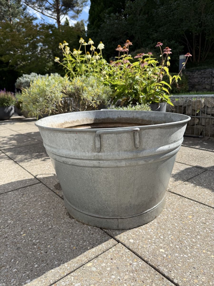 Altre Decorazioni per giardino: Bottich 72 Liter – Usato da Gockhausen venduto da Dbielmann 1
